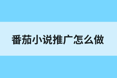 番茄小说推广怎么做？2025番茄小说推广拉新赚钱教程！